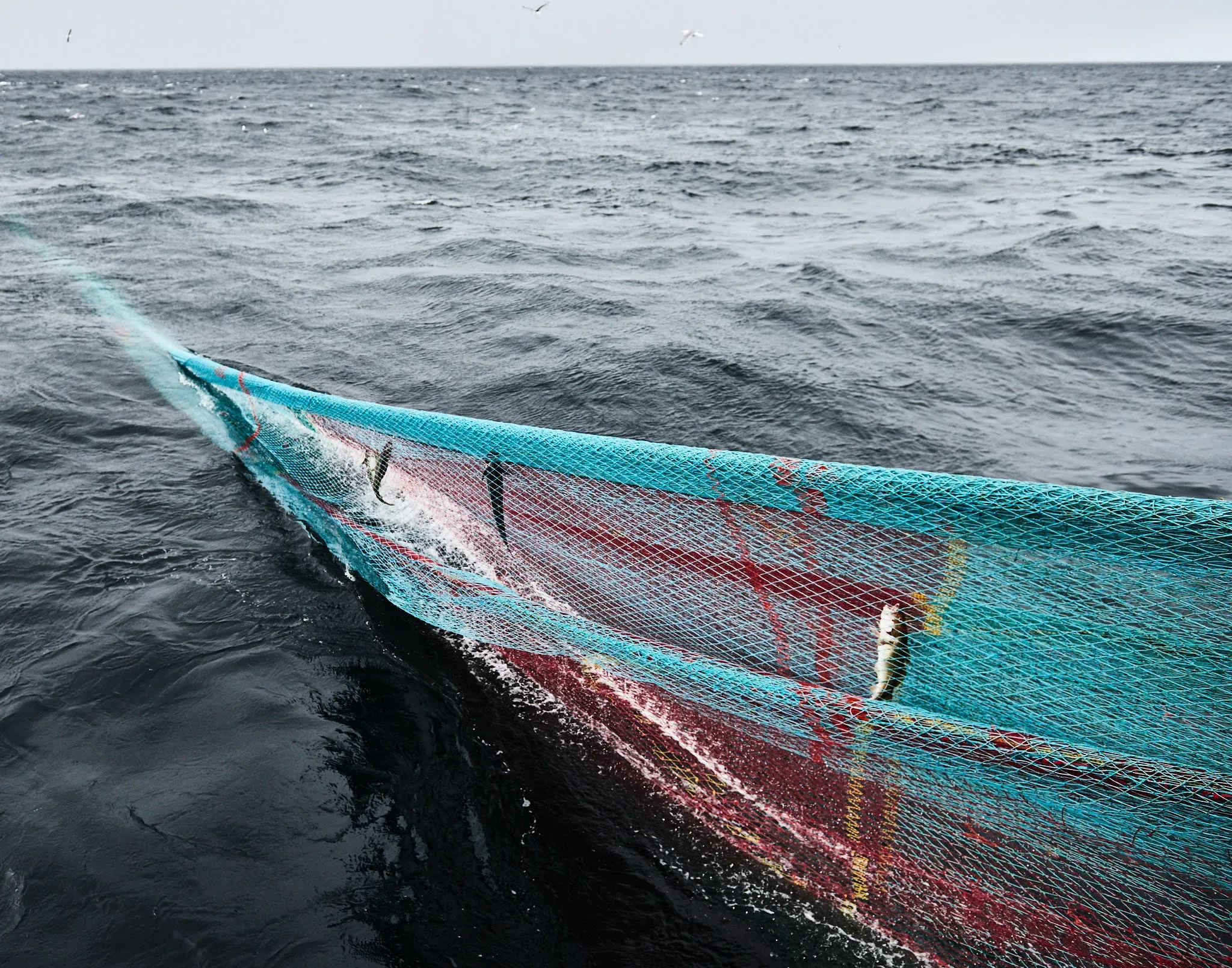 Fishermen of Norway — photo 12