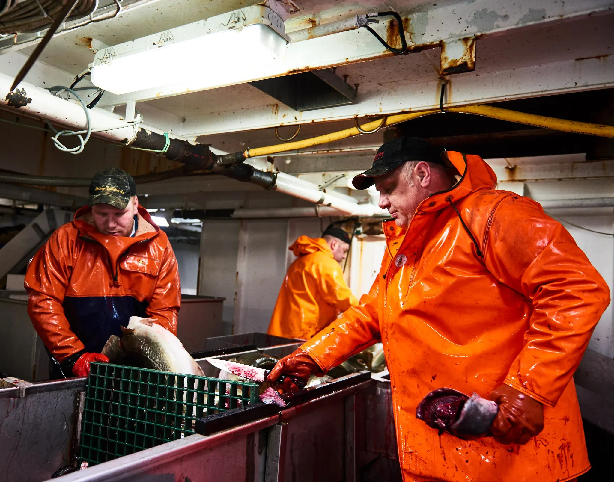 Fishermen of Norway — photo 15