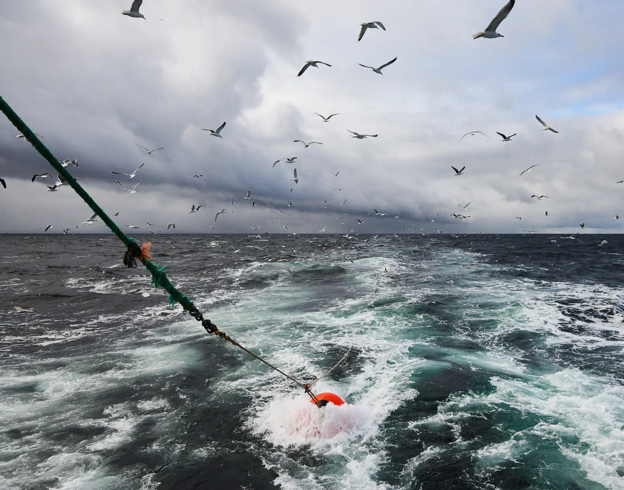 Fishermen of Norway — photo 16