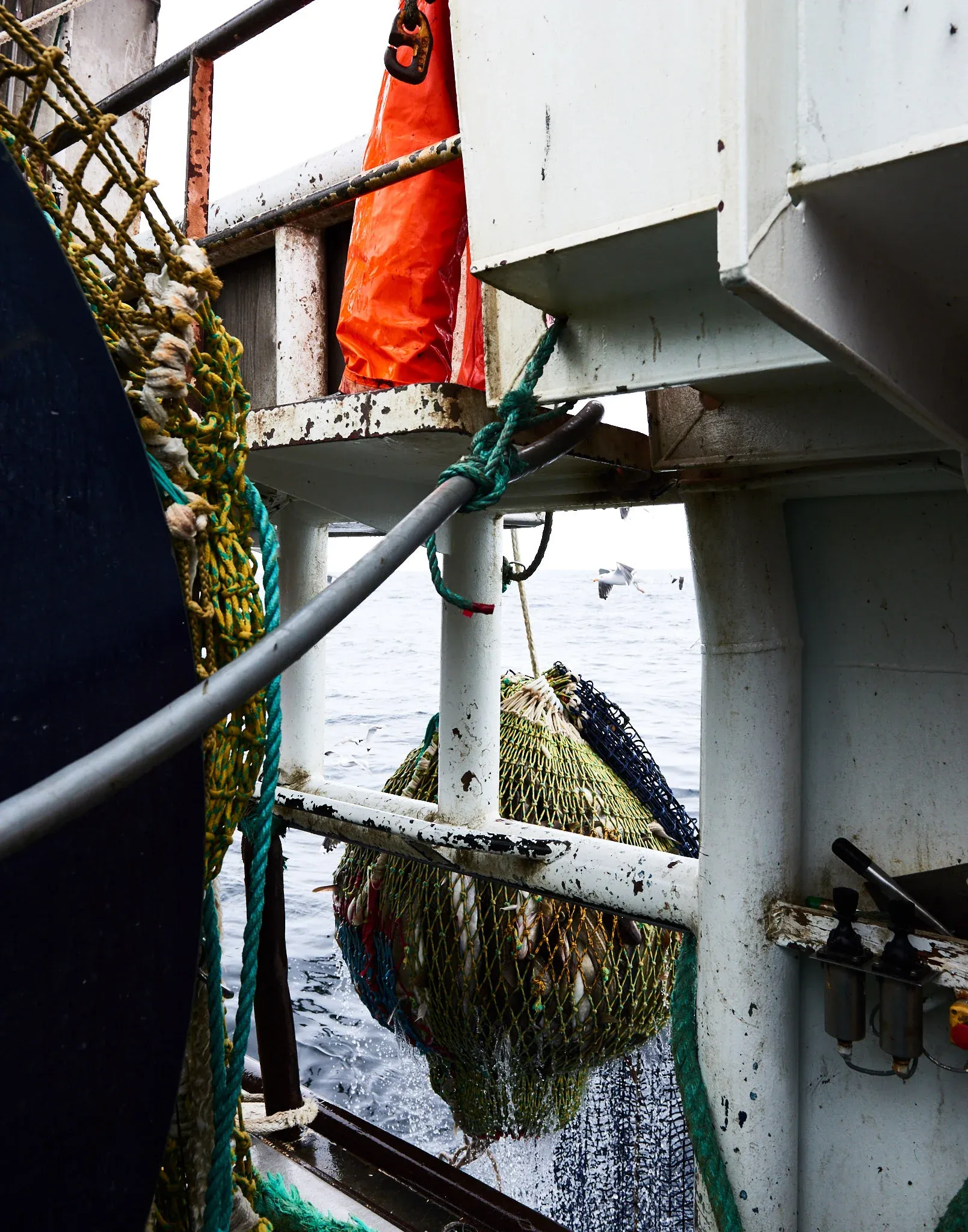 Fishermen of Norway — photo 20