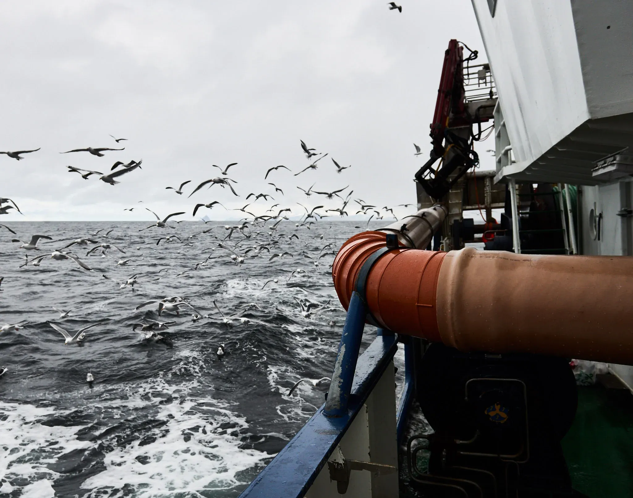 Fishermen of Norway — photo 22