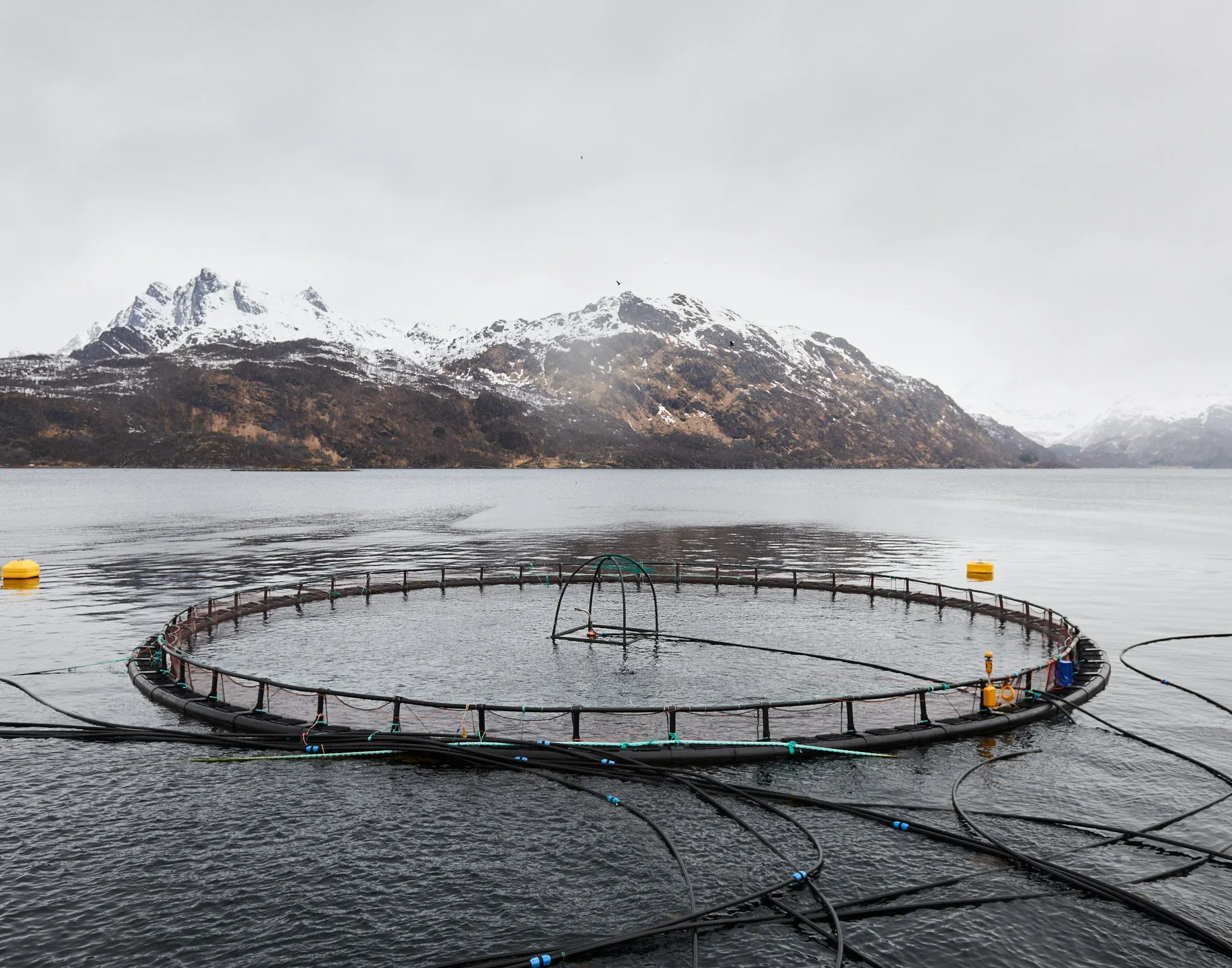 Fishermen of Norway — photo 26