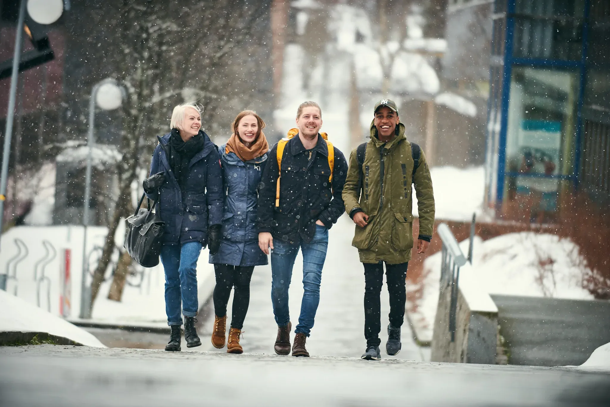 The Arctic University of Norway — photo 10