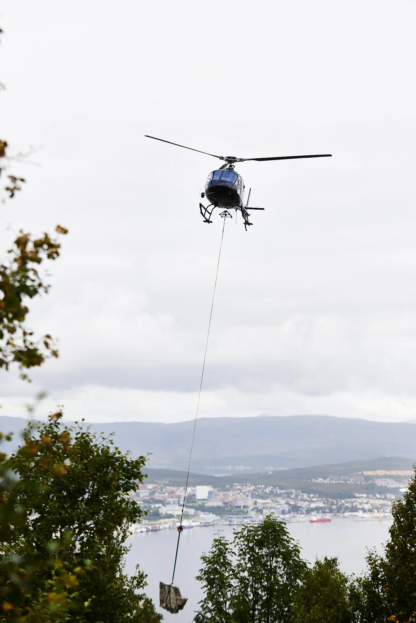Tromsø Kommune — photo 14