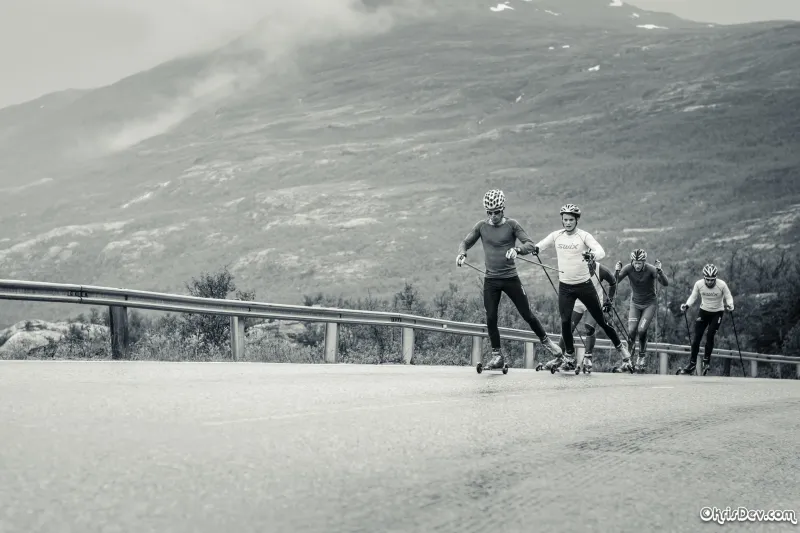 Norwegian College of Elite Sports